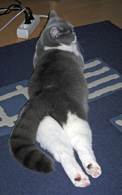 关键罚球决定胜负，悬念迭起，罚球的前提